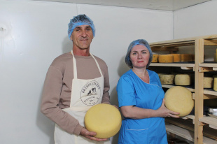 В Безенчуке благодаря господдержке открылась сыроварня