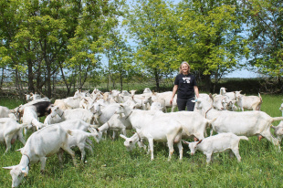 Региональный грант помог при создании фермы и сыроварни в Заволжье 