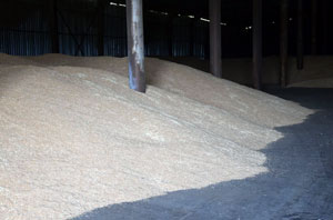Миллион тонн зерна