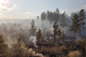 Чрезвычайная пожарная опасность лесов объявлена в 12 муниципальных образованиях Самарской области