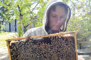 Goodbee: история пчелиного бренда