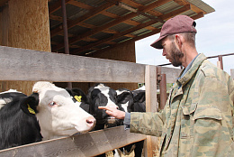 Молочное животноводство – дело прибыльное