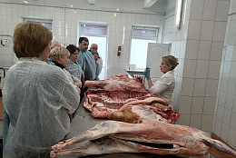 Курсы повышения квалификации для ветеринарных специалистов Самарской области