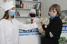 Самарский государственный аграрный университет открывает ветеринарную клинику