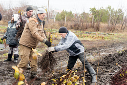 Богатый урожай начинается с осени 